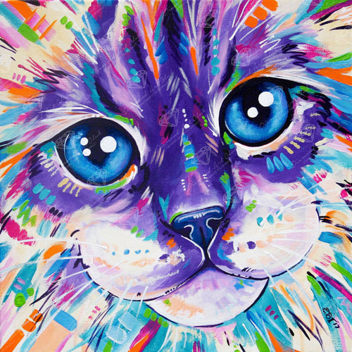 Abstract Cat R1