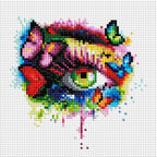 Beautiful Eye L6