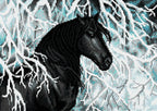 Black and White U3
