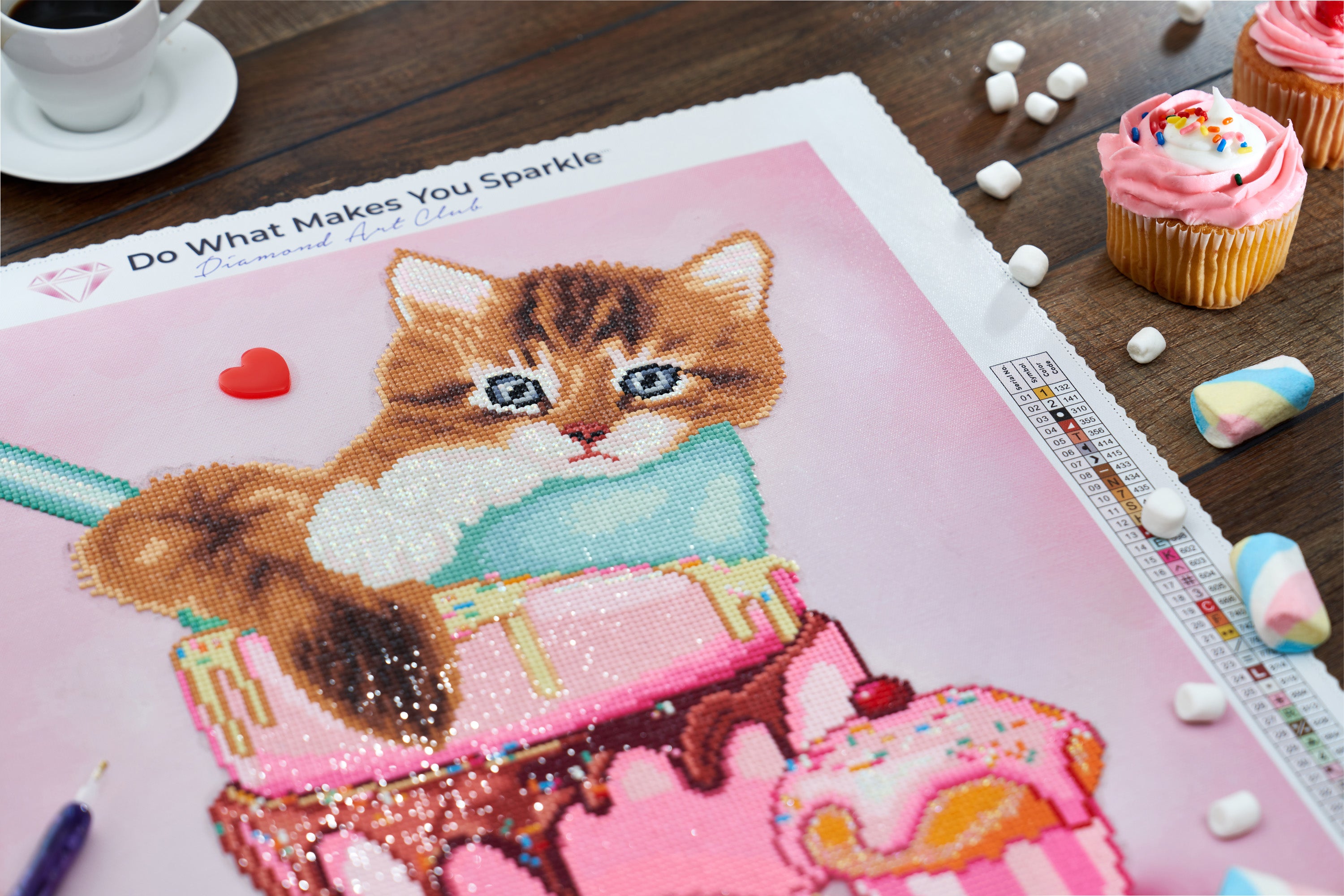 Cat & Cupcake Q7