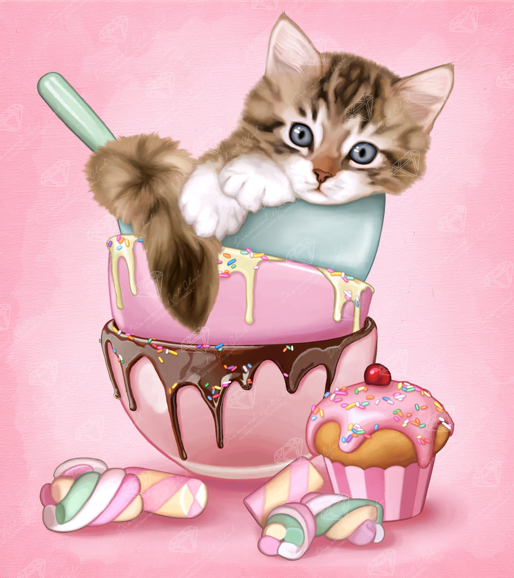 Cat & Cupcake Q7