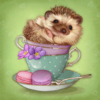 Hedgehog D6