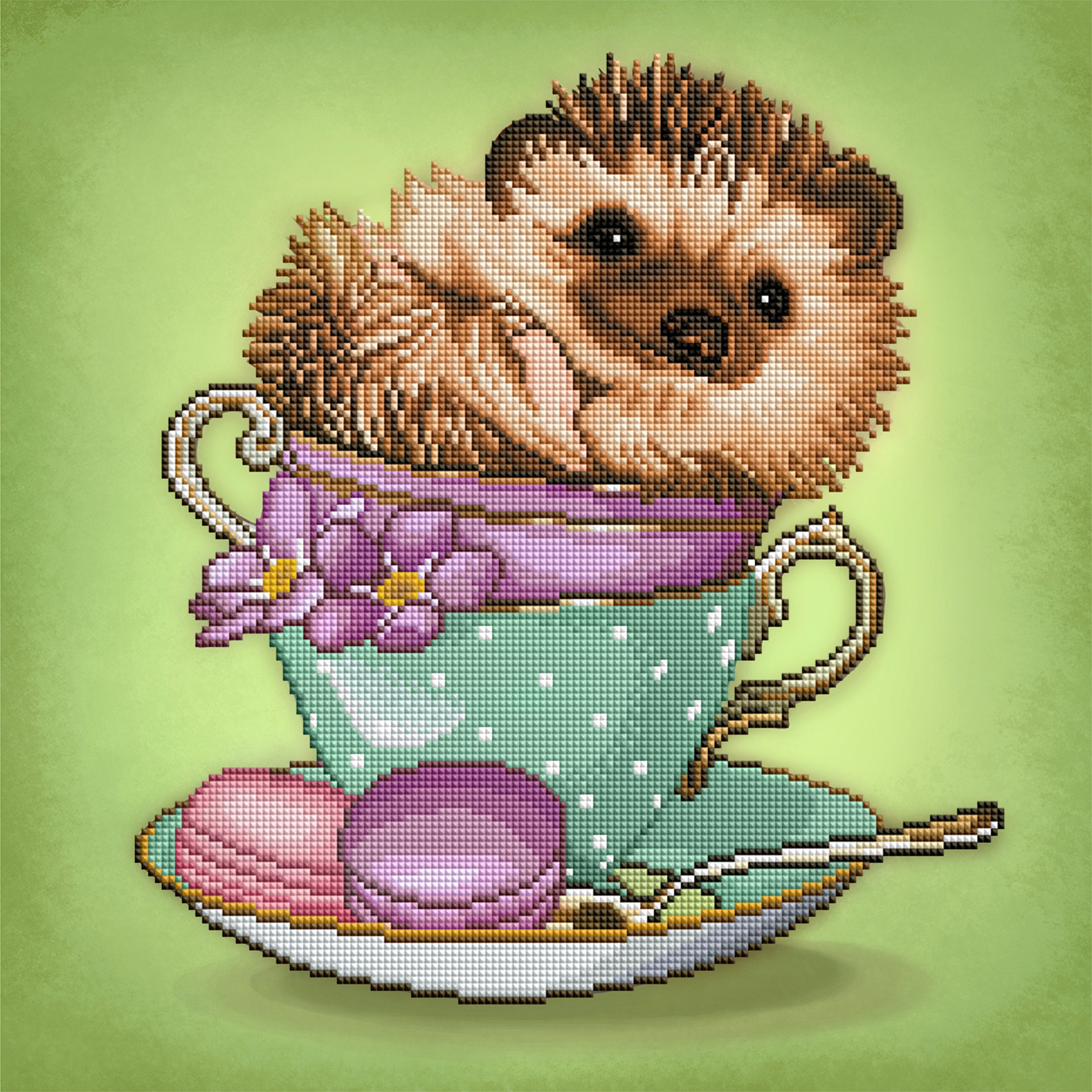 Hedgehog D6