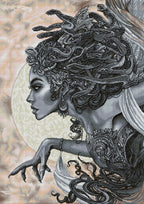 Medusa Q3