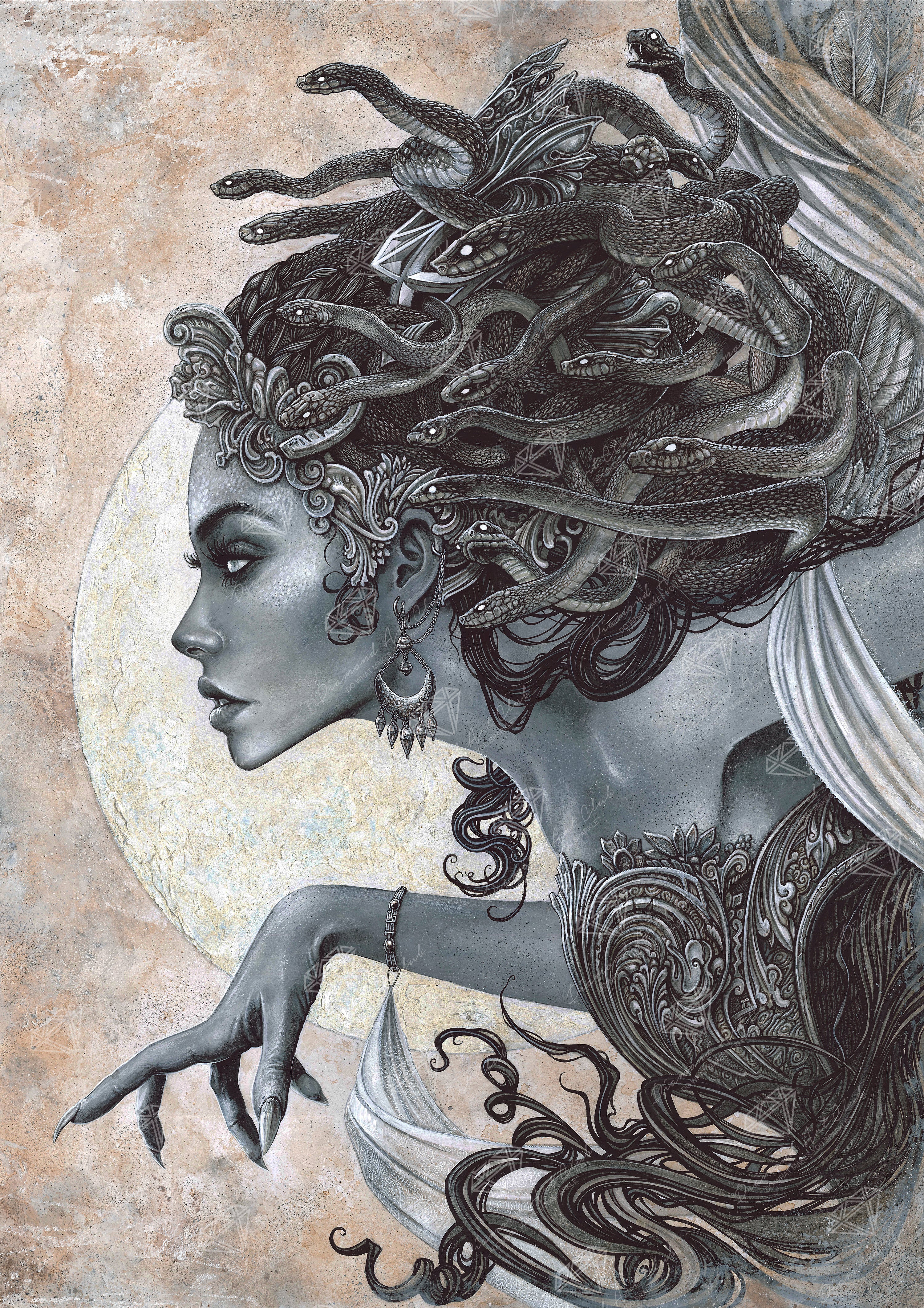 Medusa Q3