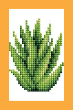 Mini Dazzles™ - Herbs & Medicinal Plants T3