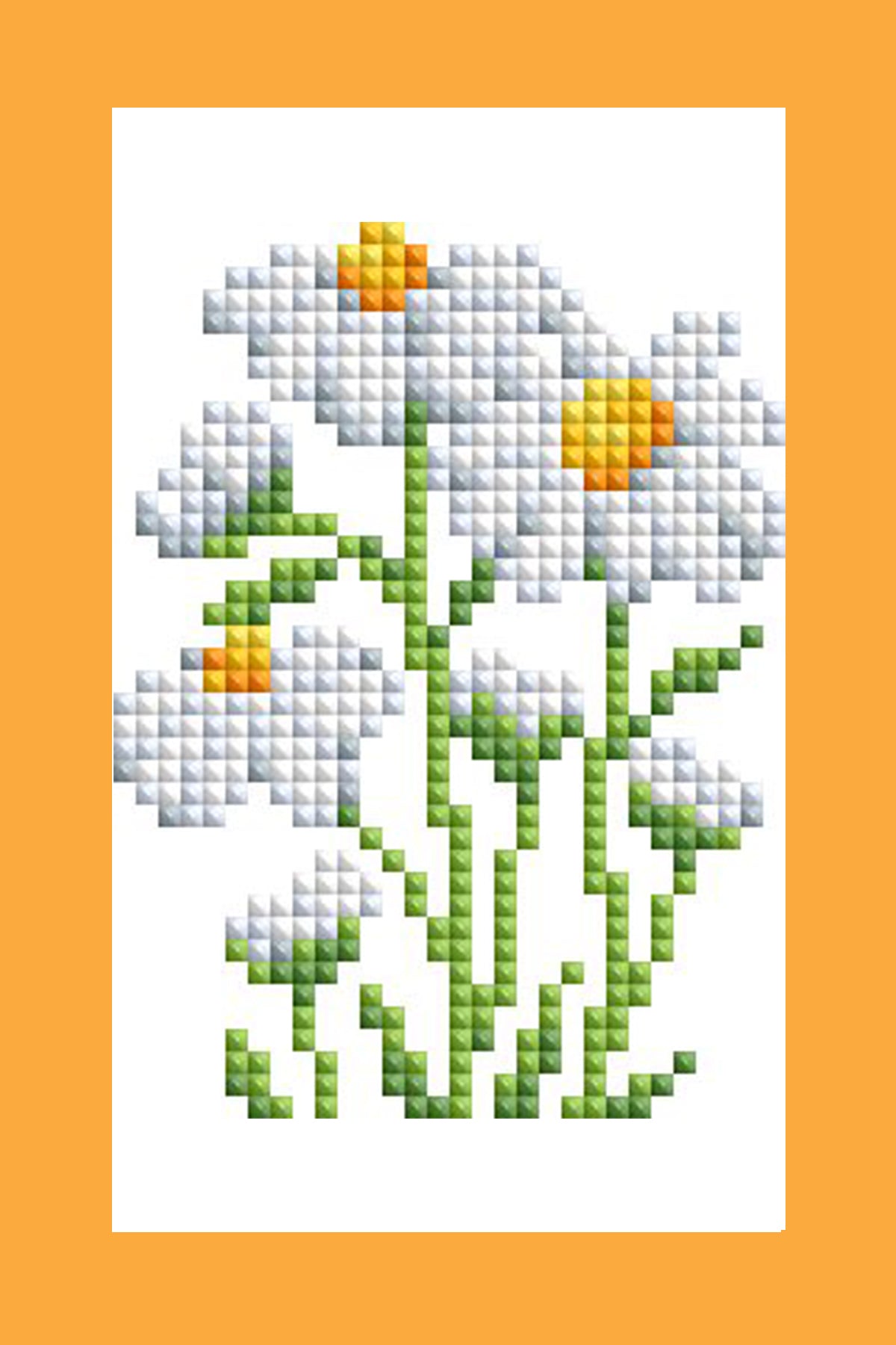 Mini Dazzles™ - Herbs & Medicinal Plants T3
