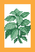 Mini Dazzles™ - Herbs & Medicinal Plants T3