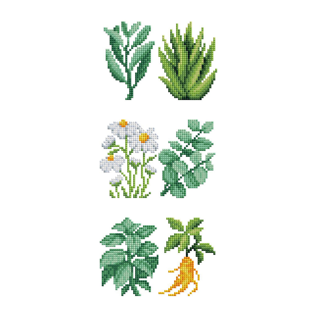 Mini Dazzles™ - Herbs & Medicinal Plants T3