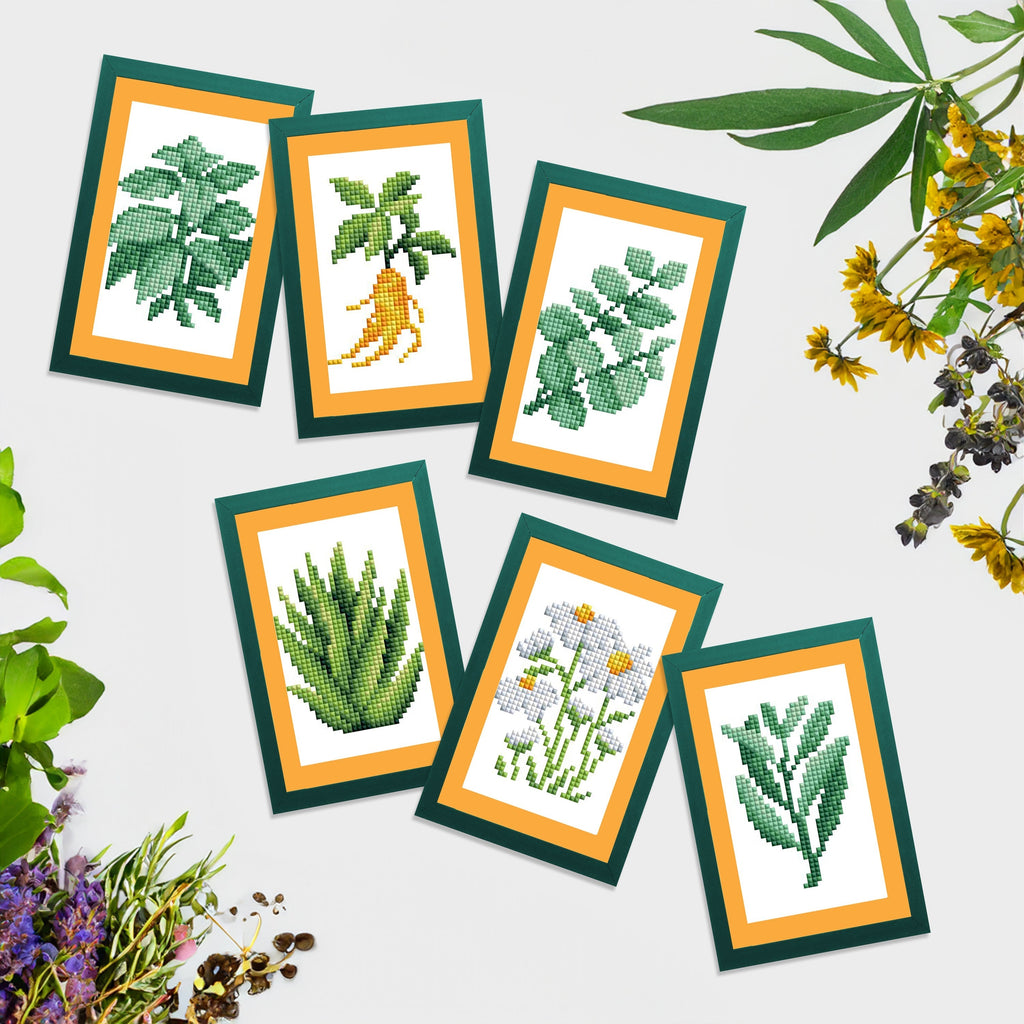 Mini Dazzles™ - Herbs & Medicinal Plants T3