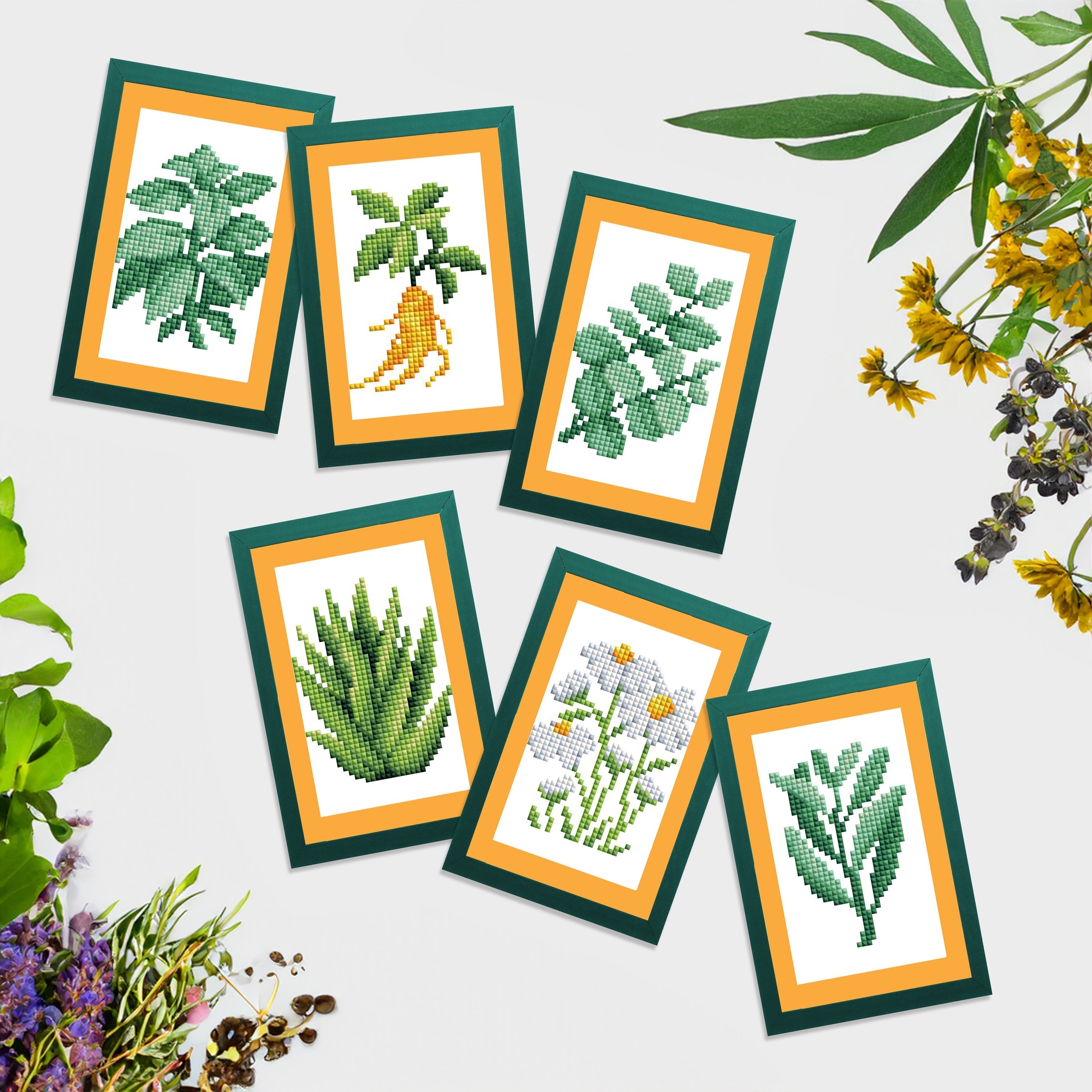 Mini Dazzles™ - Herbs & Medicinal Plants T3