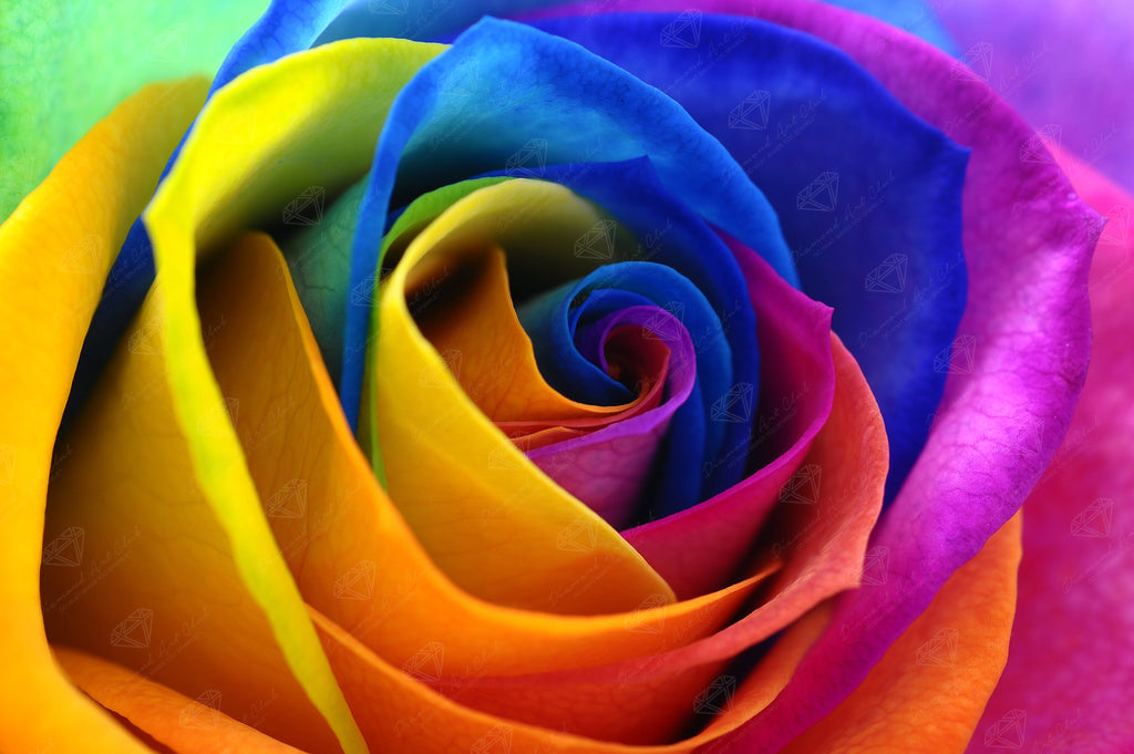 Rainbow Flower Petals O4