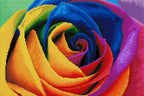 Rainbow Flower Petals G4
