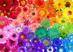 Rainbow Flower Power E6