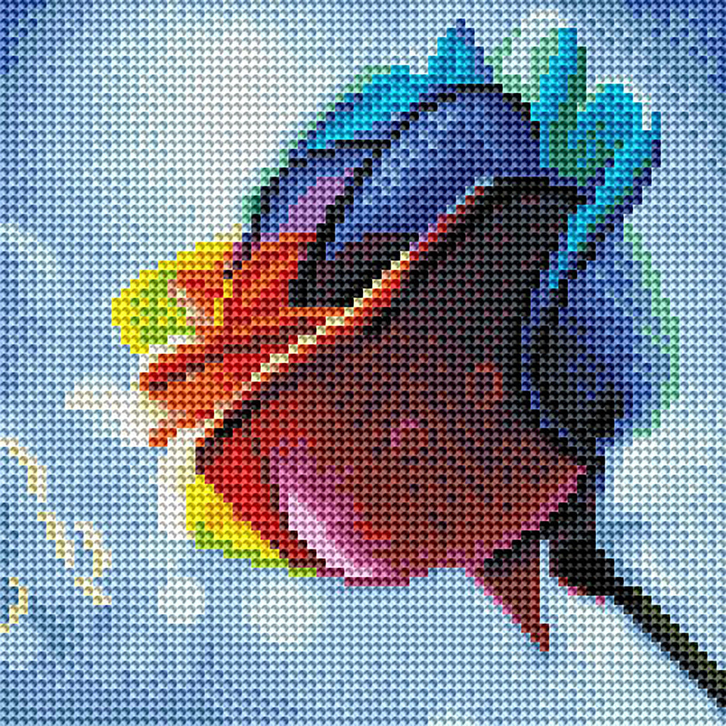 Rainbow Rose X6