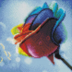 Rainbow Rose X6