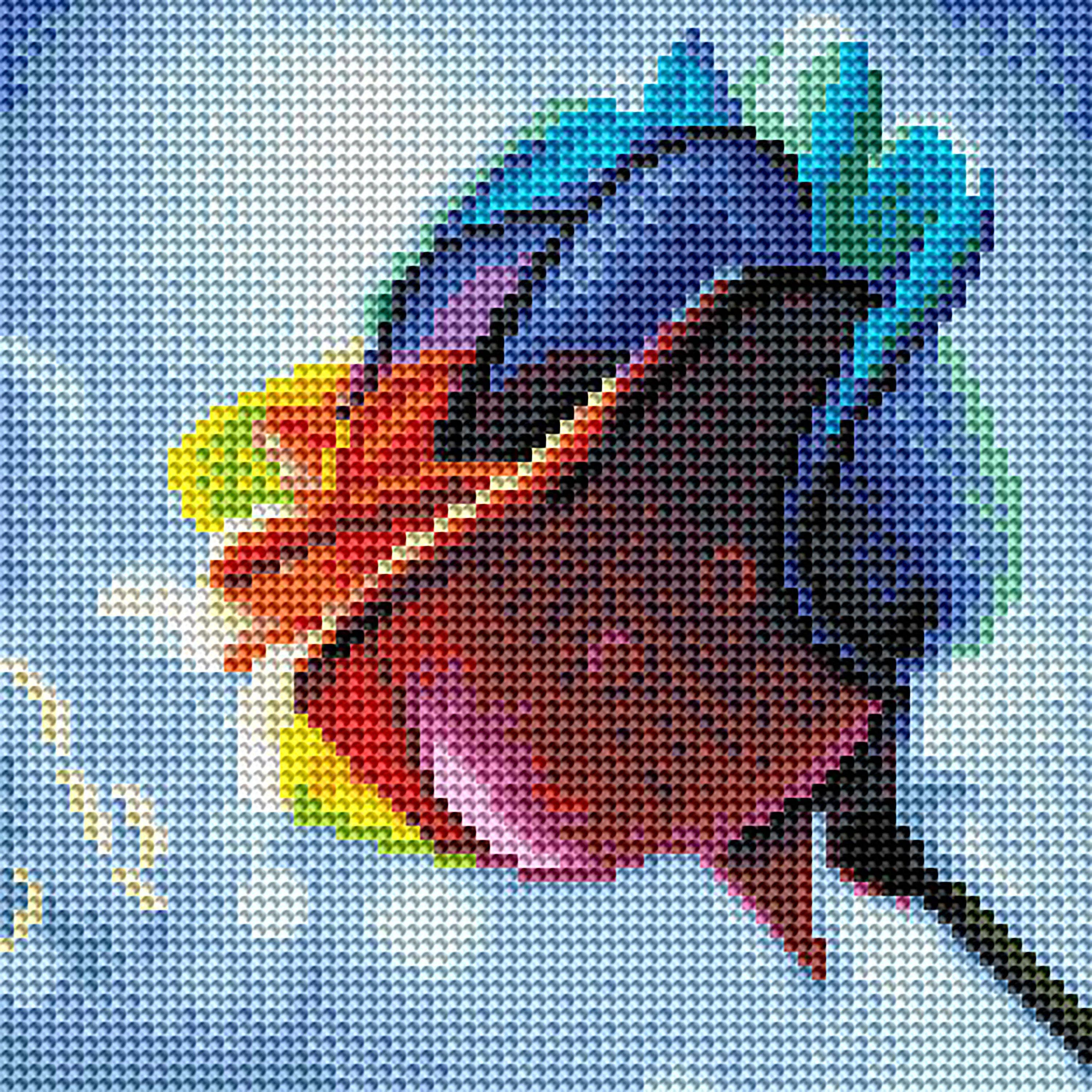 Rainbow Rose X6