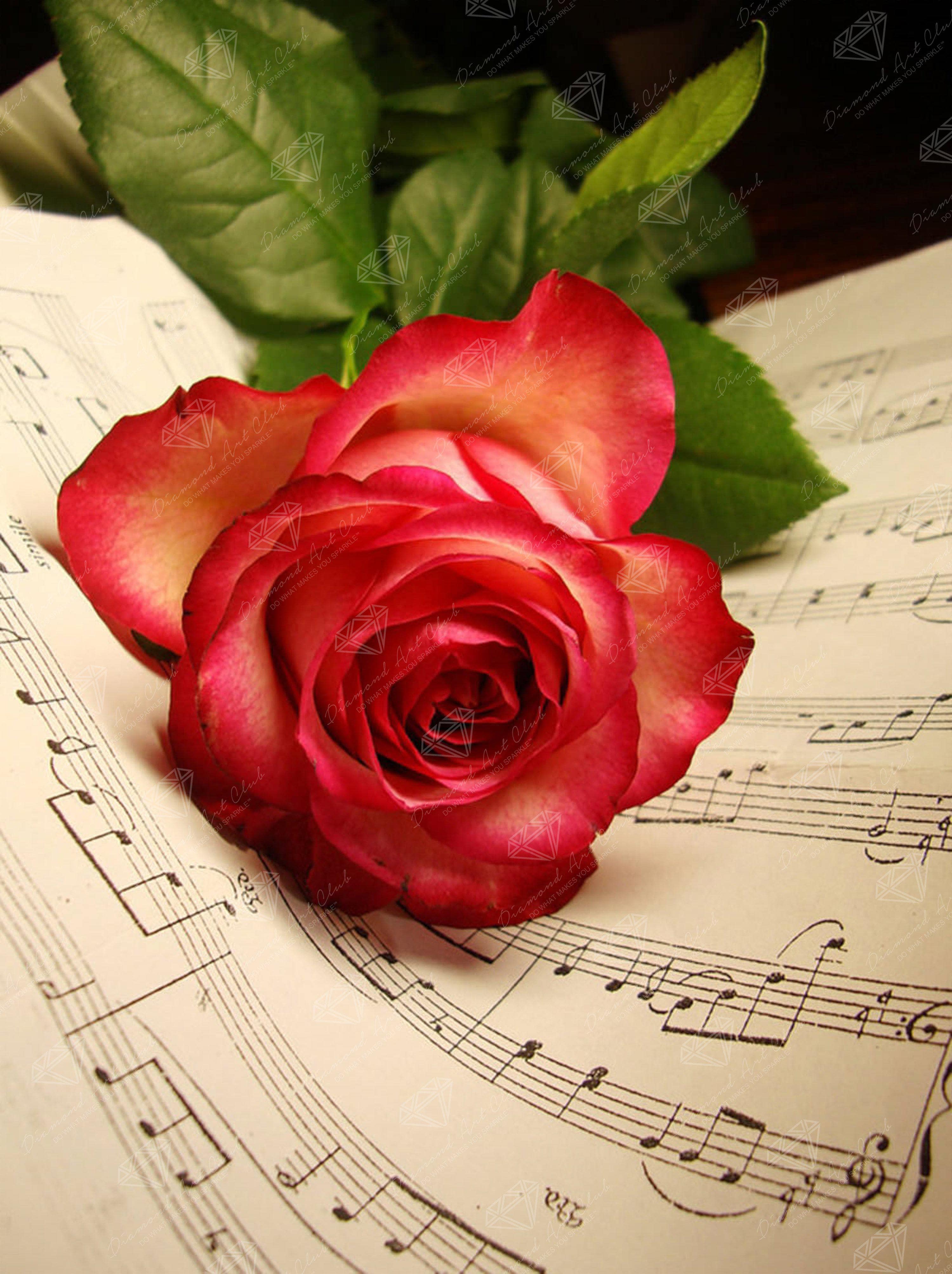 Rose Music Sheet G9