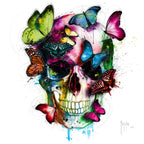 Soul's Colors O5