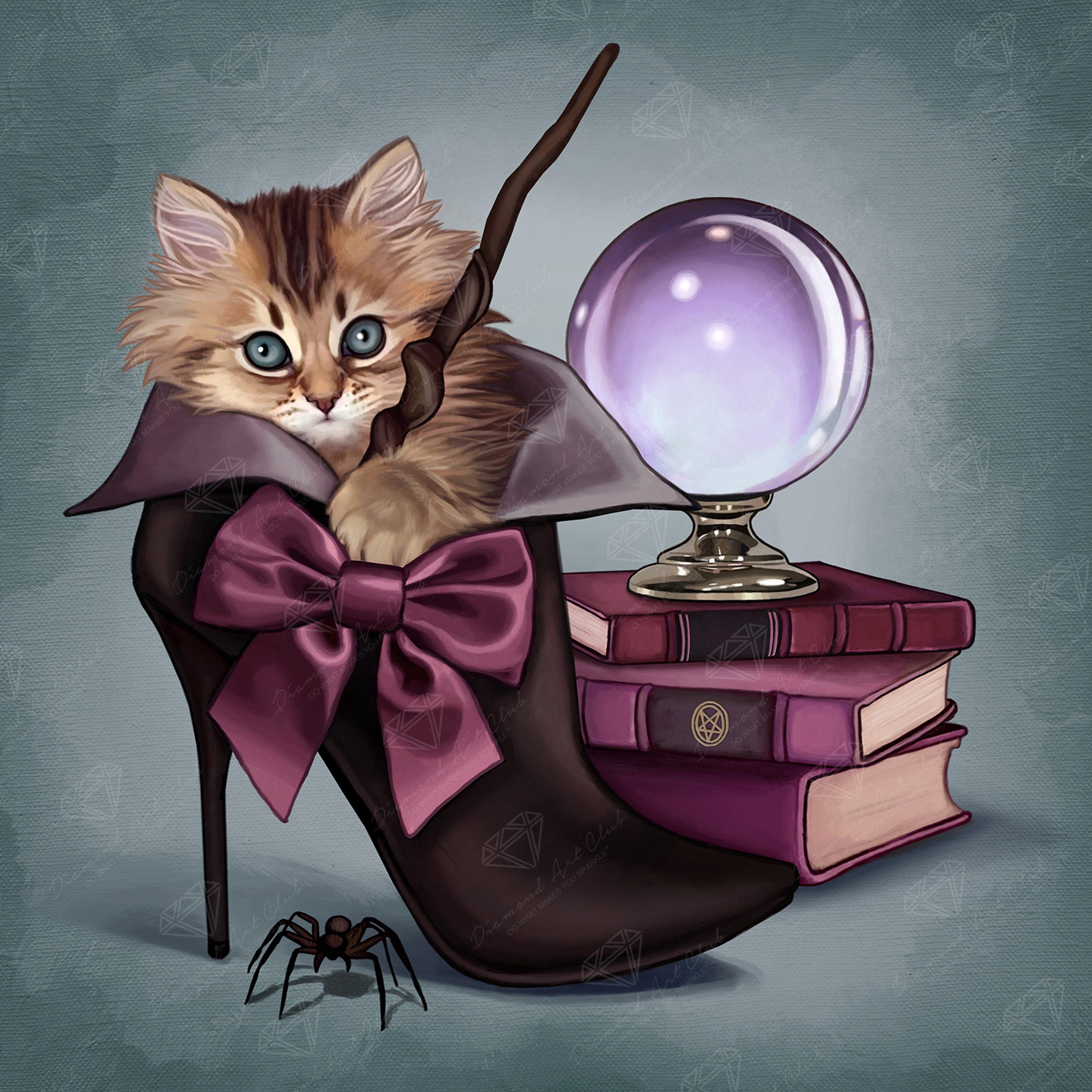 Wizard Kitten C3