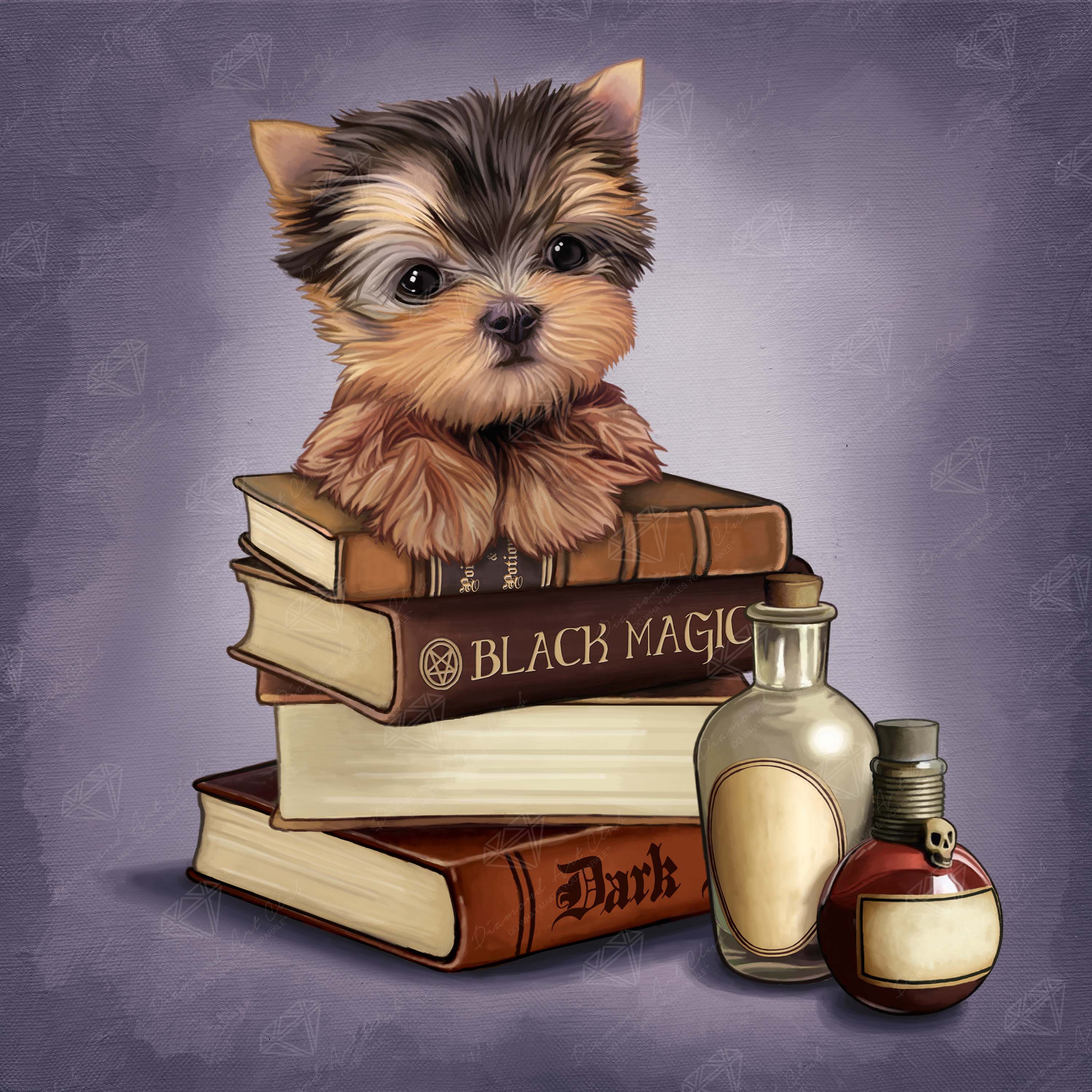Yorkie & Magic Books A2
