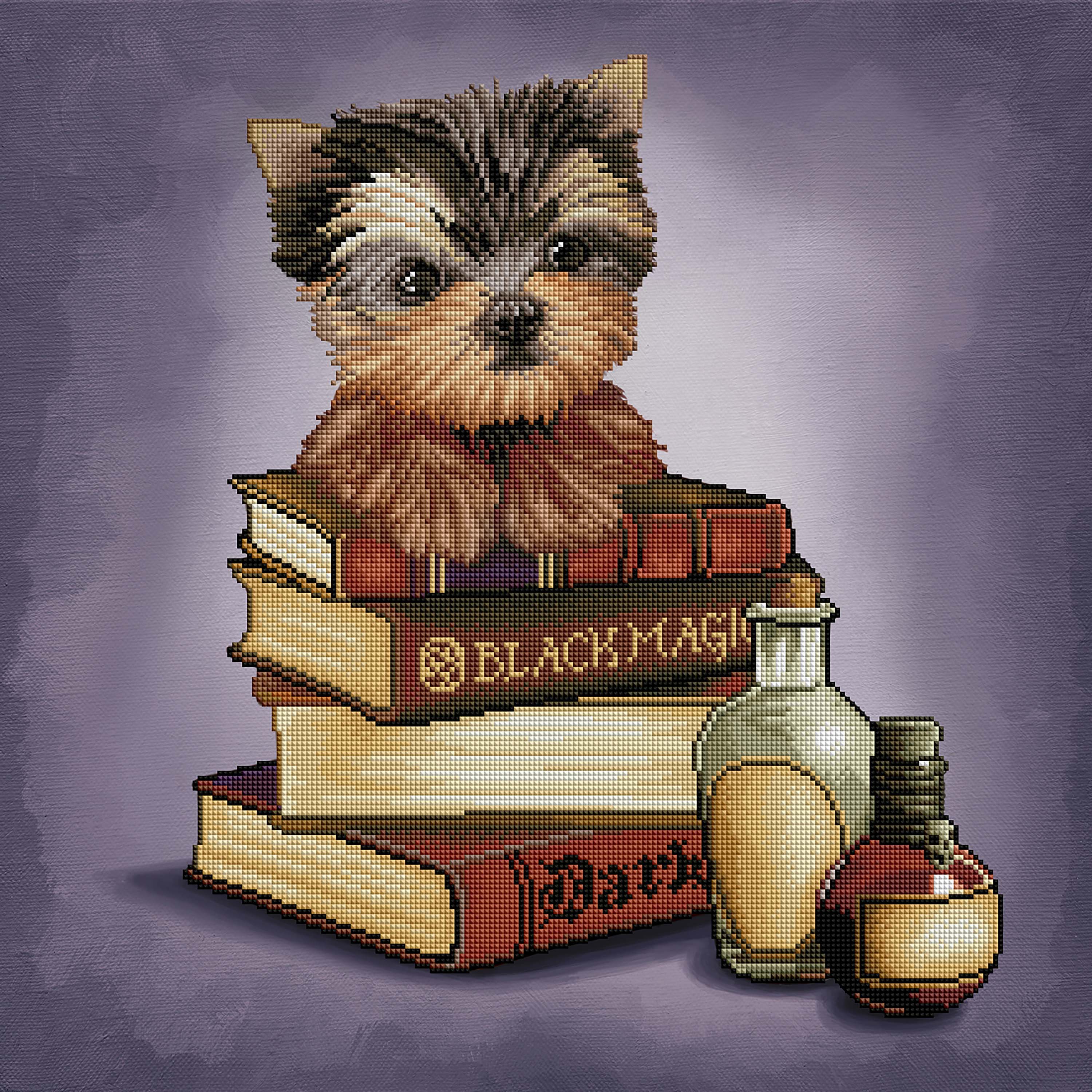 Yorkie & Magic Books A2