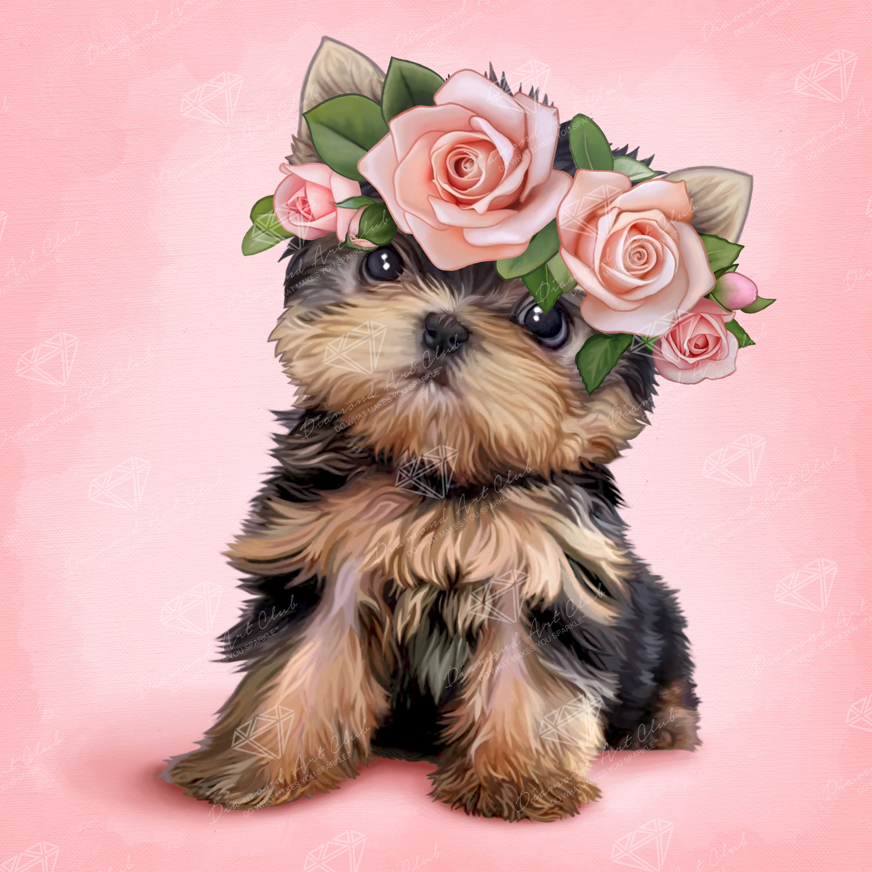 Yorkie & Roses J1