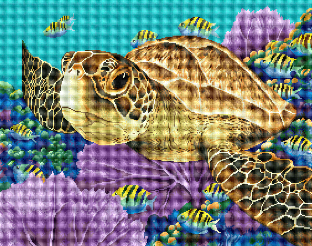Young Green Sea Turtle J2